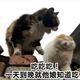 爪阔睡 · 瑞虎5x车主·车龄3年头像