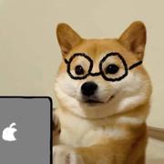 匆匆而已的个人资料头像