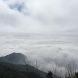 王磊4102头像