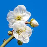 用户2996252835393头像