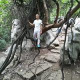 温州六毛头像