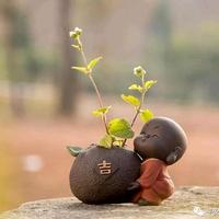 微笑明月nOl头像