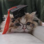 云锦泽001的个人资料头像