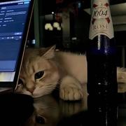 qyc526的个人资料头像