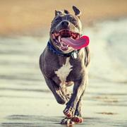 Beauty18868的个人资料头像