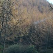 萱萱431的个人资料头像