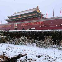 Ninethreetwosix头像