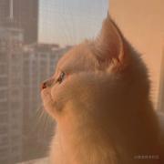 00zeng的个人资料头像