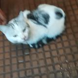 以后有啥用头像