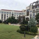 万顷白沙头像