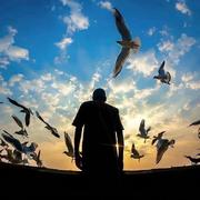 hades0932的个人资料头像