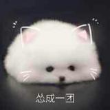 子鸠632头像