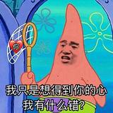 一只小柴柴.头像