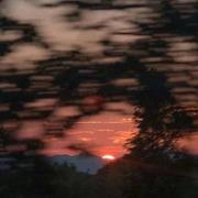 好大的雨的个人资料头像