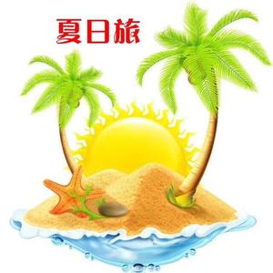 夏日旅签证机票头像