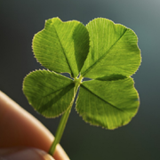 YidaChen的个人资料头像