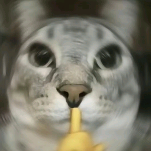 枫枫风头像