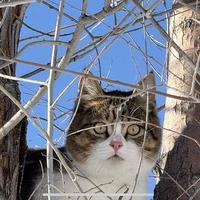 达布溜的蓝莓头像