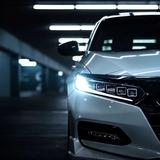 你为何喜欢头像