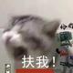 背锅背锅背头像