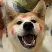 _怼怼头像