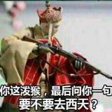 不卑不亢949头像