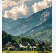 禾羽的个人资料头像