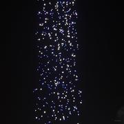 bingfeng的个人资料头像