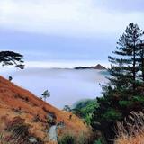 心想是橙668头像