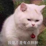 奋斗男19头像