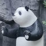 子琪q头像