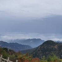 为提S5努力中头像