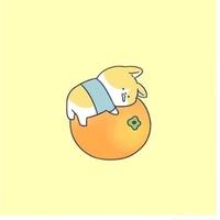 Carl_放空头像