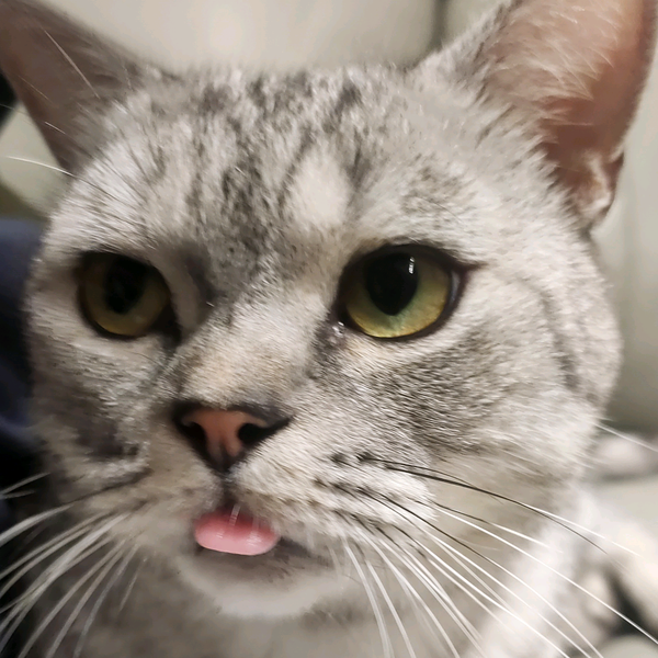 不吃不喝不睡都要攒钱跑赛道的飛哥头像