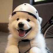 carpediem913的个人资料头像