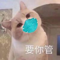 卿夜386头像