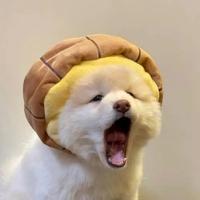 卡卡卡卡滴1头像