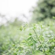 紫光752的个人资料头像