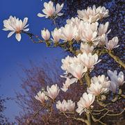 人格倾上的个人资料头像