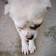 小默929的个人资料头像