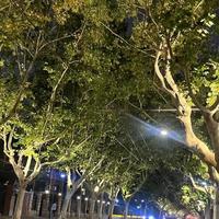 未来可期1315头像