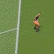 619的个人资料头像