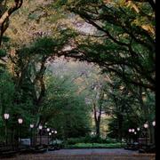 AU112的个人资料头像