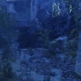 总会走丢头像