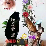 正东生活优港头像