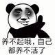 陈拱拱头像