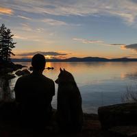 用户9032157180031头像