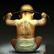 耕田的奶牛的个人资料头像