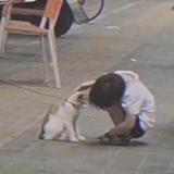 羊6h6T头像