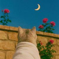 用户6131970331531头像